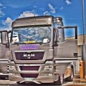 Truck Festival 3F Discio Truck (525)