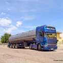 Truck Festival 3F Discio Truck (589)