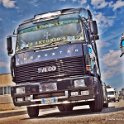 Truck Festival 3F Discio Truck (615)