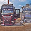 Truck Festival 3F Discio Truck (656)