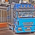 Truck Festival 3F Discio Truck (727)