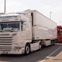 Truck Festival 3F Discio Truck (746)