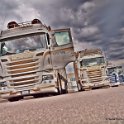 Truck Festival 3F Discio Truck (775)