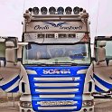 Truck Festival 3F Discio Truck (885)
