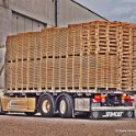 Truck Festival 3F Discio Truck (943)