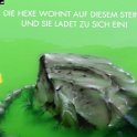 DSCN8457