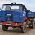Wesel-Bislich 2015-5-9 00169