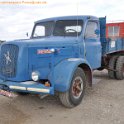Wesel-Bislich 2015-5-9 00398