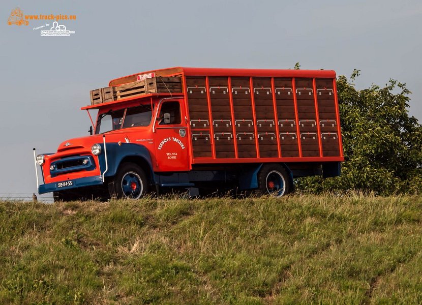 Nog Harder Lopik Trucker-Treffen Lkw-Fotos Lkw-Infos Lkw-Thorsten 30